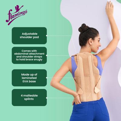 Flamingo Dorsolumbar Spinal Brace (Taylors Brace) (OC2034) (L) 1's - Back/Abdomen Supports