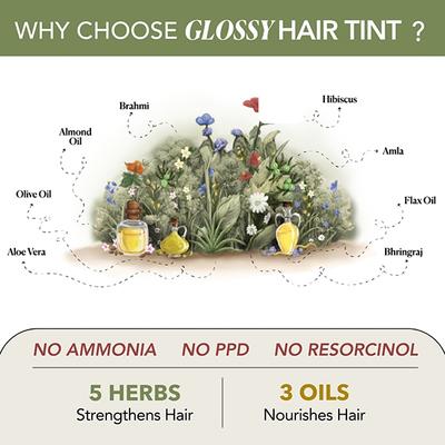 Paradyes Semi-Permanent Hazel Brown Glossy Hair Tint, Enriched with Herbal Extracts, Light Brown 160 gm - Crème