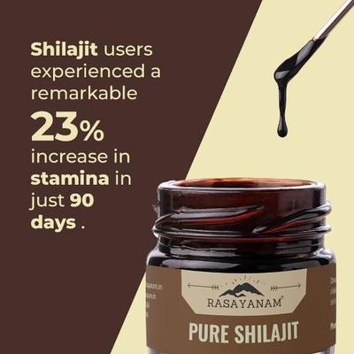 Rasayanam Pure Shilajit Resin 20 g - General Health