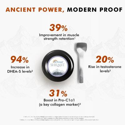 Dr. Morepen Shilajit Resin 15 gm - Speciality Medicines