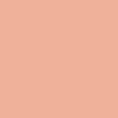 Flormar Wet&Dry Compact Powder W06 Caramel Rose 10 gm - Compact Powder