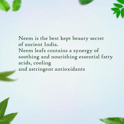 Aravalli Neem Face Wash 100 ml - Personal Care (Ayush)