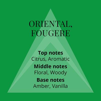 Colour Me Homme Green Eau De Parfum 90 ml - Men Perfumes (Edt/Edp)