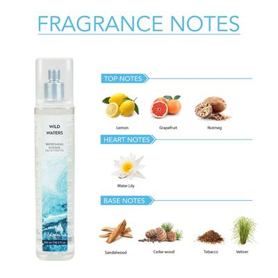 Ajmal Wild Waters & Primitive Forests EDT Combo Pack Of 2 For Men & Women 500 ml - Perfumes (Edt/Edp)