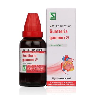 Dr.Willmar Schwabe Guatteria Gaumeri Q Mother Tincture 30 g - Mother Tincture