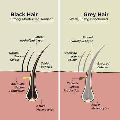Amazing Greys Daily Restoration Shampoo Hair Strengthening 200 ml - Shampoos