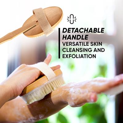 Vega Long Handle Wooden Bath Brush, Detachable For Men & Women, (Nba-1/3) - Loofahs & Sponges