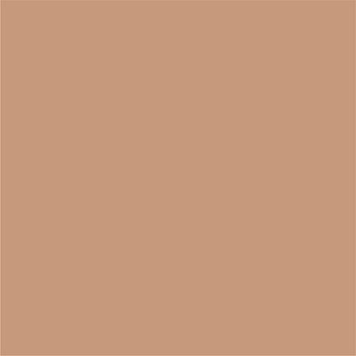 Bella VosteCompact Powder Shade - HD08 - WALNUT 9 gm - Compact Powder
