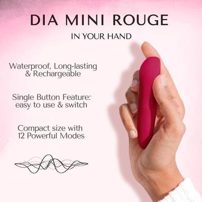 Libertee Dia Rouge Mini Bullet Rechargeable Massager 12 Modes & Intensities 1's - Massagers And Vibrators