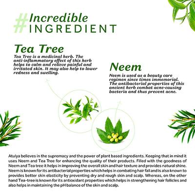 Atulya Tea Tree & Neem Foaming Face Wash 150 ml - Scrubs & Exfoliants