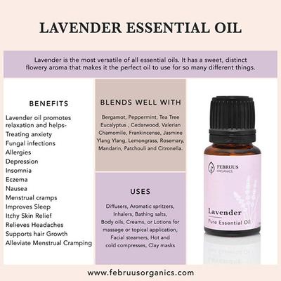 Februus Organics Pure Essential Oil - Lavender 10 ml - Essential Oils