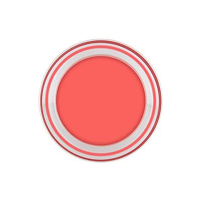 Miss Claire Tinted Lip Balm 04 3 Gm - Lip Balms