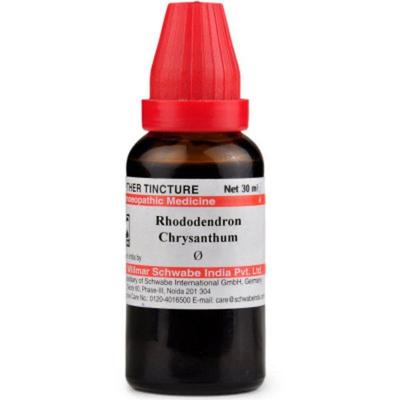 Dr.Willmar Schwabe Rhododendron Chrysanthum Ø Drops 30 ml - Mother Tincture