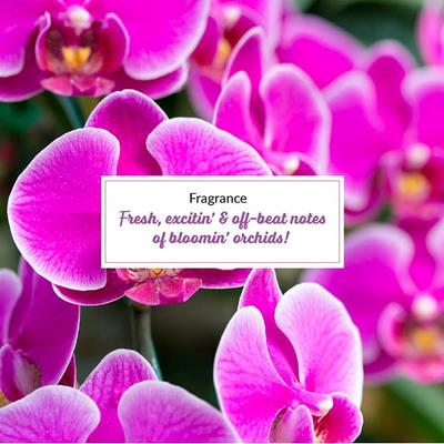 Plum Bodylovin' Orchid-You-Not Shower Gel 240 Ml - Shower Gels & Body Wash