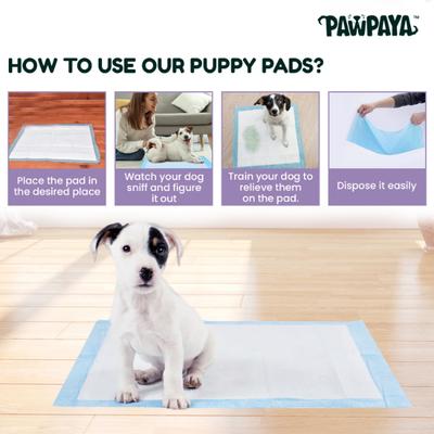 Pawpaya Training Pads 7's - Pet Grooming