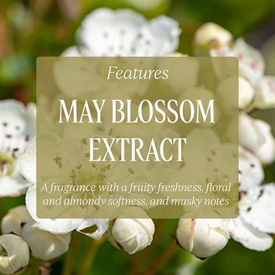 L'Occitane Noble Epine Body Lotion 250 ml - Lotions & Creams