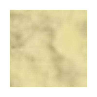 PAC Translucent Powder Mini 04 2 gm - Loose Powder