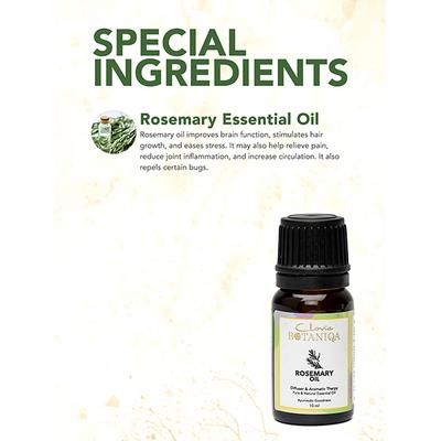 Clovia Botaniqa Pure Rosemary Essential Oil 10 ml - Essential Oils