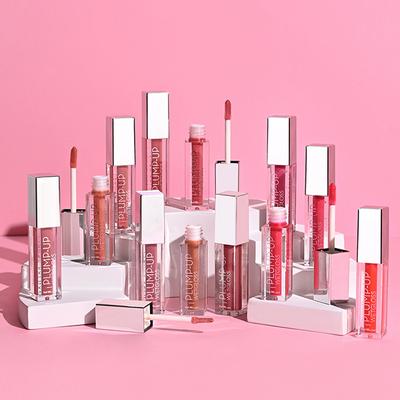 Swiss Beauty Plump-Up Wet Lightweight Lip Gloss, Shade- Berrilicious 2 ml - Lip Glosses