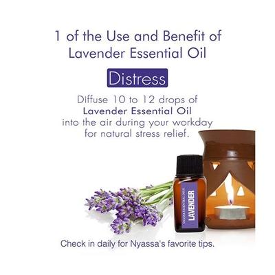 Nyassa Lavender Essential Oil 100% Pure & Natural 10 ml - Essential Oils