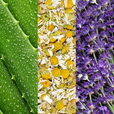 Mario Badescu Facial Spray With Aloe, Chamomile & Lavender 59 ml - Face Mists