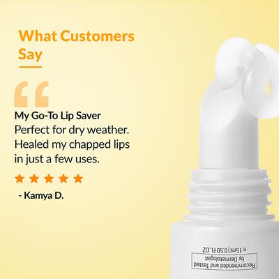 Fixderma Lip Balm with Vitamin C and Vitamin E, Lip Balm for Dark Lip, Lip Gloss, Lip Balm for Unisex 15 ml - Lip Balms