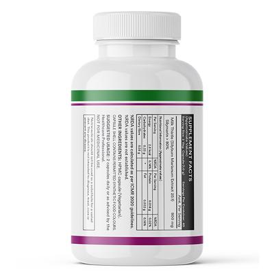 INLIFE Milk Thistle 800 mg Vegetarian Capsule 120's - Vital Health