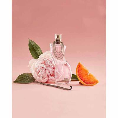 Dance Shakira Eau De Toilette 80 ml - Perfumes (Edt/Edp)