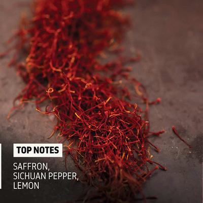 Phy Eau de toilette - Black 100 ml - Men Perfumes (Edt/Edp)