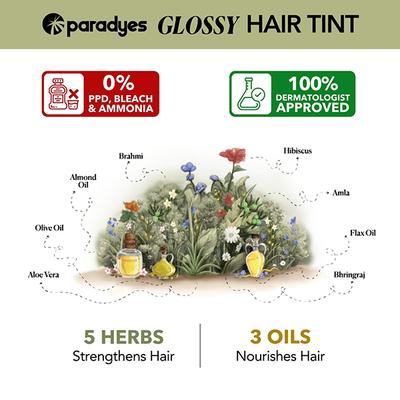 Paradyes Semi-Permanent Cherry Coke Glossy Hair Tint, Enriched with Herbal Extracts, 6.6 True Red 160 gm - Crème