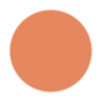 PAC Spotlight Liquid Concealer 14.5 Coco Cabana 5.5 gm - Concealer