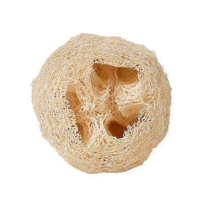 Cosmos by Bewakoof Loofa - Cylindrical Scrubber - Paraben & Sulphate Free 1's - Loofahs & Sponges