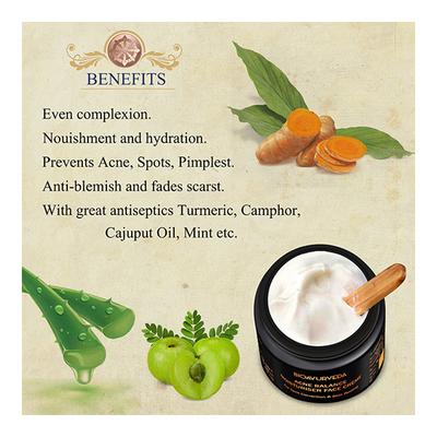 Bioayurveda Acne Balance Moisturiser Face Creme 60 gm - Face Creams