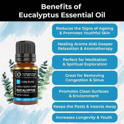Organic Forest 100% VEGAN Eucalyptus Essential Oil 10 ml - Essential Oils