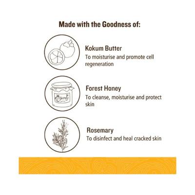 SoulTree Hand & Foot Cream - Kokum & Honey with Mountain Rosemary 100 gm - Hand Creams