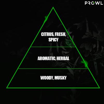 Prowl By Tiger Shroff, Eau De Parfum -Roar 100 ml - Men Perfumes (Edt/Edp)