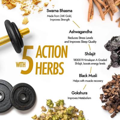 Kapiva Him Foods Shilajit Gold Resin 10 g - Speciality Medicines