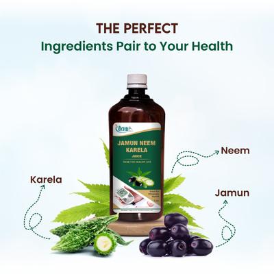 Swadeshi Jamun Neem Karela Juice 1000 ml - Ayurvedic Juices