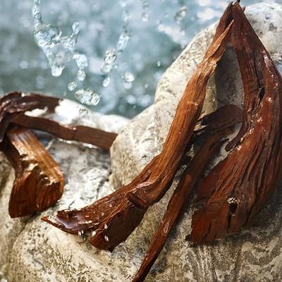 Dolce&Gabbana Light Blue Summer Vibes Edt Limited Edition 100 ml - Women Perfumes (Edt/Edp)