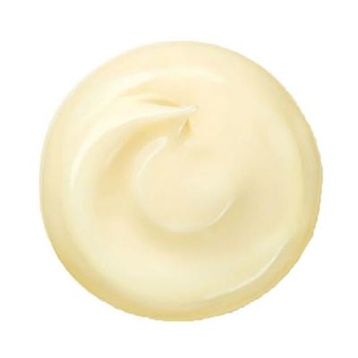 Shiseido Benefiance Wrinkle Smoothing Enriched Cream 50 ml - Lotions & Creams