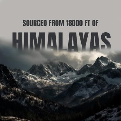 Bargad Shilajit Coffee Sachets 30's - Speciality Medicines