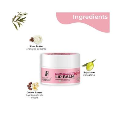Pilgrim Squalane Bubblegum LIP BALM 8 gm - Lip Balms