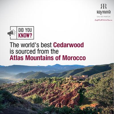 Raymond Moroccan Cedar Edp 45 ml - Men Perfumes (Edt/Edp)