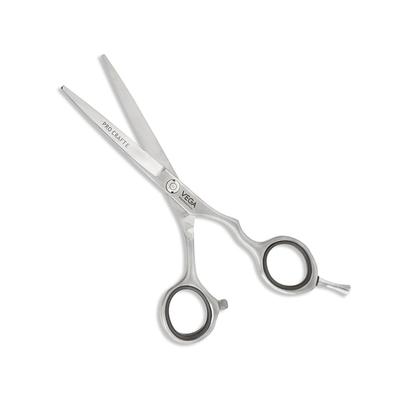 Vega Professional Pro Craft E 5.5' Silver Line Hairdressing Scissor (VPVSC-20) 1's - Grooming Kits
