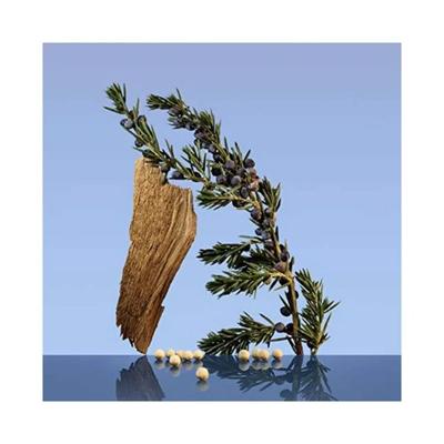 Calvin Klein Ck Be Eau De Toilette 100 ml - Perfumes (Edt/Edp)