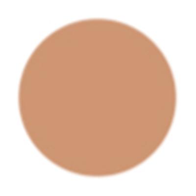 PAC Take Cover Concealer Buildable Coverage Creamy Blends Seamlessly - 14 Twisted Toffee 6.8 g - Concealer