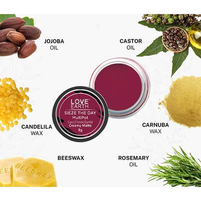 Love Earth Lip Tint & Cheek Tint Multipot-Seize The Day - Raspberry Pink 8 gm - Lip Stains & Tints