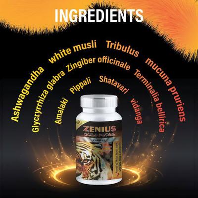 Zenius Gold Power Capsule 60's - Other Supplements