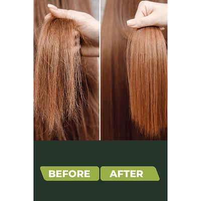 Organic Harvest Daily Shampoo 500ml - Shampoos