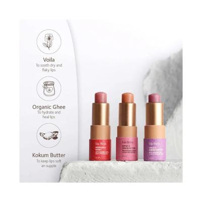 SoulTree Calendula & Honey with Organic Ghee & Cold Pressed Oils Lip Balm 3.5 gm - Lip Balms